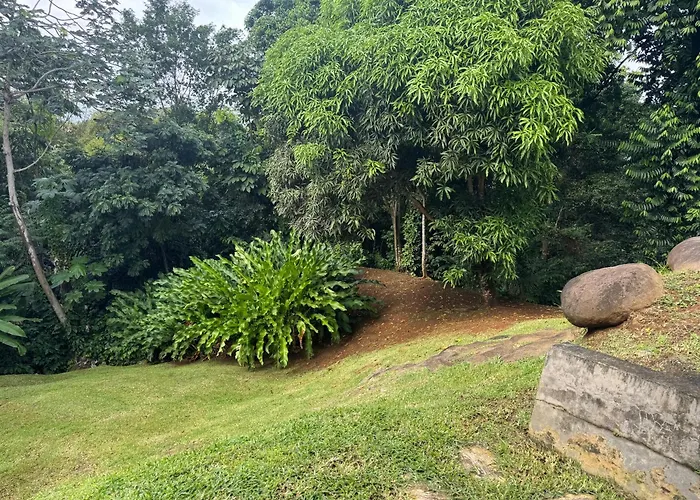 Aluna Ecolodge